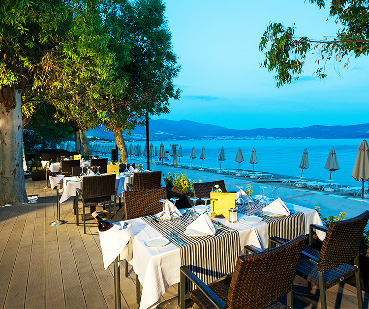 imagini hotel AURUM DIDIM